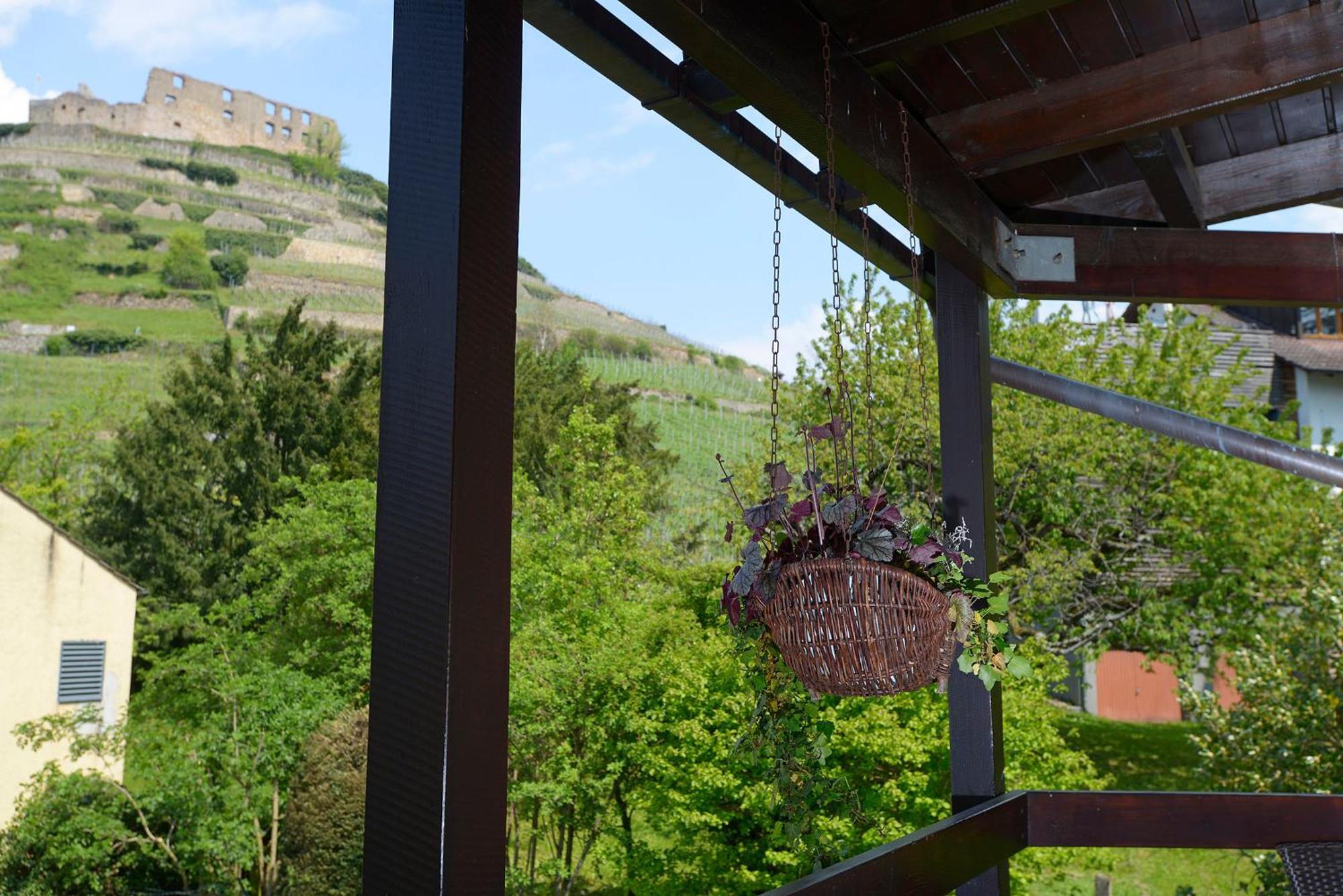 Gaestehaus Goethe Staufen im Breisgau Exteriör bild