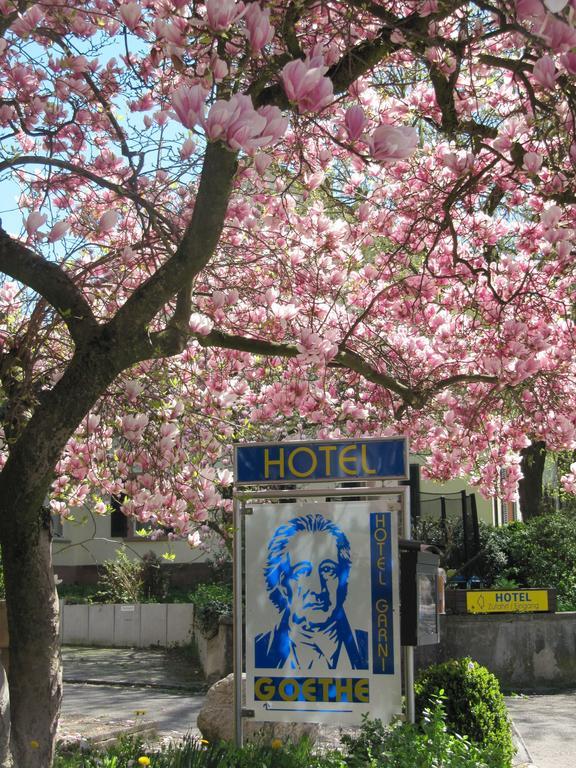 Gaestehaus Goethe Staufen im Breisgau Exteriör bild